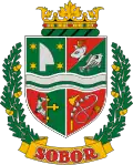 Brasão de armas de Sobor