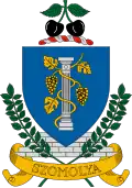Brasão de armas de Szomolya