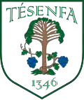 Brasão de armas de Tésenfa