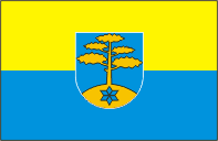 Bandeira oficial de Haaslava