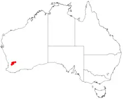 Dados de ocorrência do Herbário Virtual da Australásia