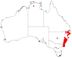Dados de ocorrência do Herbário Virtual da Australásia