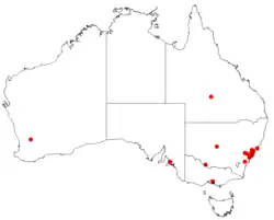 Dados de ocorrência do Herbário Virtual da Australásia