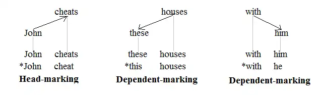 Marcação de Núcleo 1