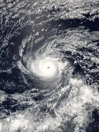 imagem ilustrativa de artigo Furacão Hector (2018)