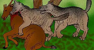 Hemicyon sansaniensis caçando