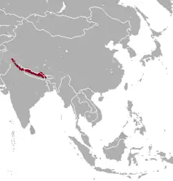 Distribuição do tahr-do-himalaia