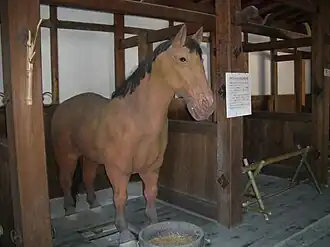 Dentro dos estábulos