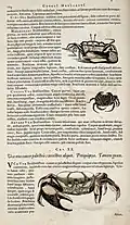 Página 184 (cap. XIX, segunda parte) de uma versão colorida de 1648.