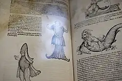 Fantastical creatures in a historic book, Historiae Animalium by Conrad Gessner