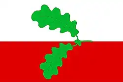 Bandeira de Hořešovice