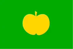 Bandeira de Holovousy