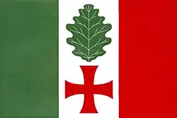 Bandeira de Horní Dubňany