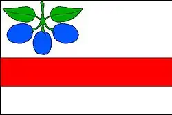 Bandeira de Horní Slivno