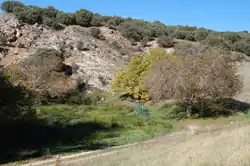 Nascente do rio Henares em Horna.