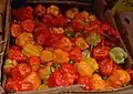 Pimentas Scotch bonnet em um mercado do Caribe
