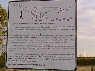 Pegadas de Dinossauro em Cuchilla del Ombú