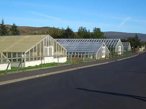 Estufas utilizando a energia térmica