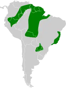 Distribuição de H. sapphirina