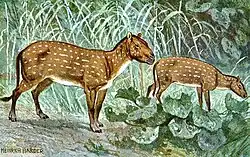 Hyracotherium ou Eohippus um perissodáctilo