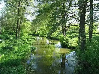 Rio Iłżanka em Ciepielów