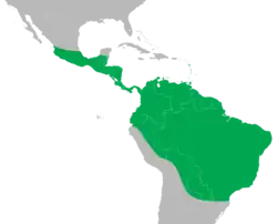 Distribuição da iguana-verde