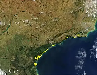 Imagem de satélite do litoral do Rio de Janeiro até o norte de Santa Catarina mostrando a localização da ecorregião dos Mangues da Ilha Grande segundo o WWF (linha amarela).