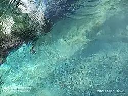 Imagem das águas frias e cristalinas da Lagoa Dourada em Santa Luzia ( Bahia), que fica localizada a 16 km a 20 minutos de Santa Luzia ( Bahia).