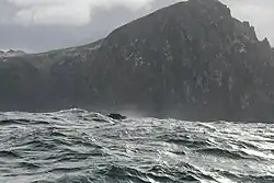 Cabo Horn fotografado a bordo do veleiro "Tari II" por Ingo Kühl em 25 de outubro de 2009.