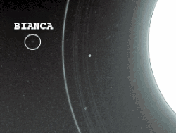 Bianca está dentro do círculo.