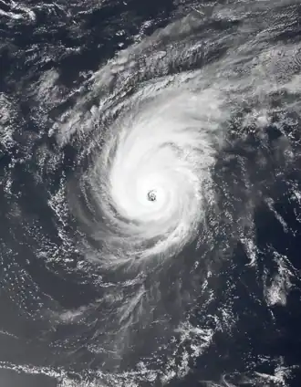 imagem ilustrativa de artigo Tufão Isa