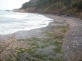 Praia de Ogella, no município de Ispáster