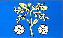 Bandeira de Jívoví