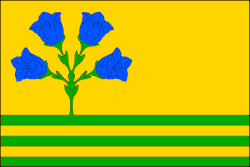 Bandeira de Janová