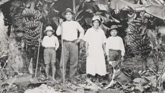 Família japonesa em uma plantação de bananas no Brasil (c. 1930).