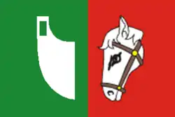 Bandeira de Jarcová