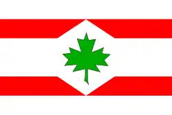 Bandeira de Javorník