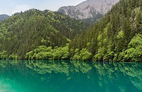 Lago do Panda, com padrões de cores azul e verde nas águas