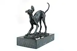 João da Silva: Galgo afegão