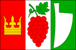 Bandeira de Josefov