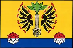 Bandeira de Křenovy