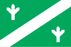 Bandeira oficial de Kaiu