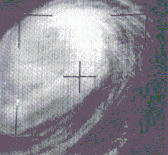 imagem ilustrativa de artigo Tufão Karen