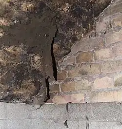 Camadas pendentes de bolores negros da espécie Zasmidium cellare.