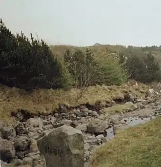 Bosque Viðarlundin úti í Grøv perto da cidade