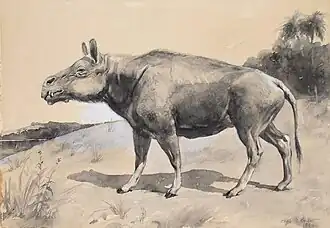 Um Entelodonte por Charles R. Knight