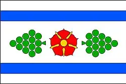 Bandeira de Košíky