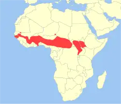 Distribuição do cobo, na África
