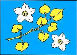 Bandeira de Kochánov