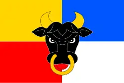 Bandeira de Koclířov